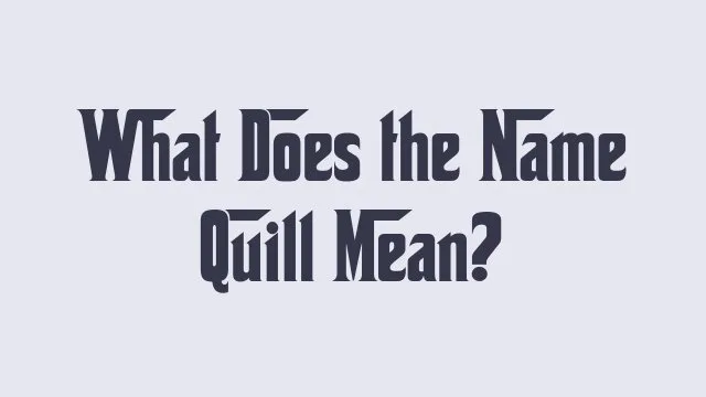 Meaning and significance of the name Quill in baby naming trends.