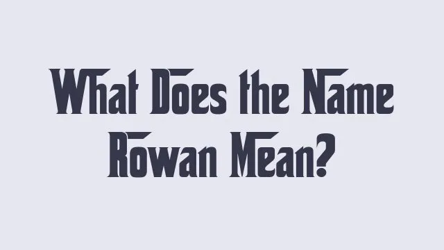 Rowan name meaning and origins in human culture and tradition.