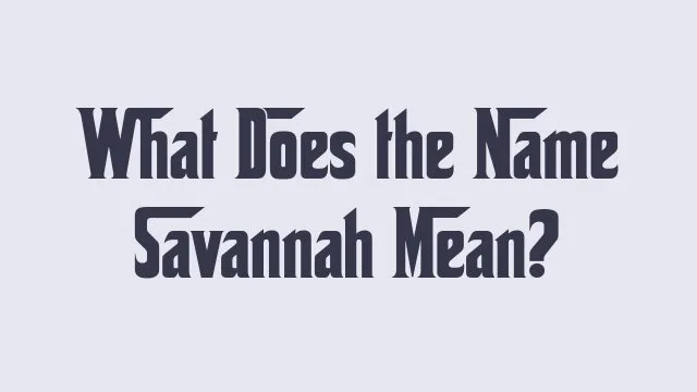 Meaning and significance of the name Savannah in baby naming.