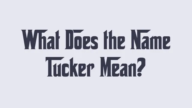Meaning and significance of the name Tucker in baby naming trends.
